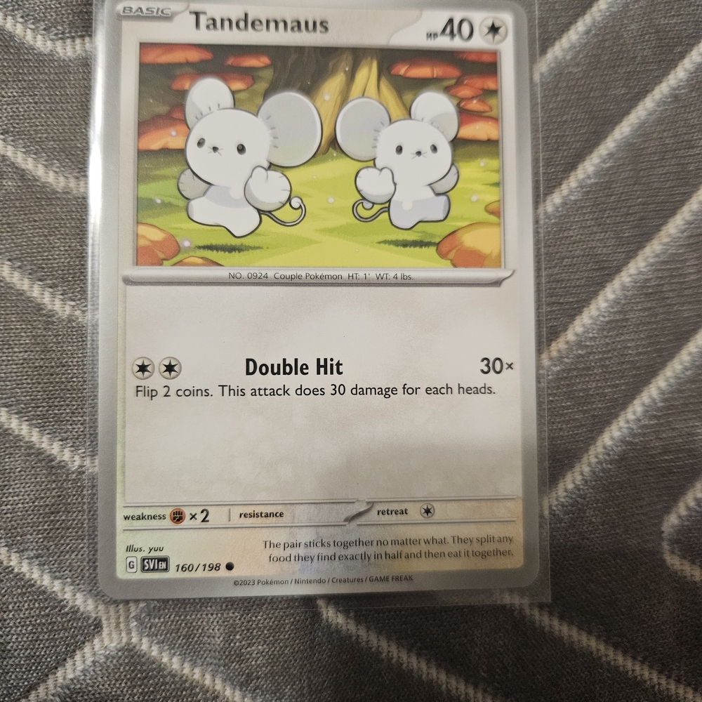 Pokemon Tandemaus Card - White and Gray